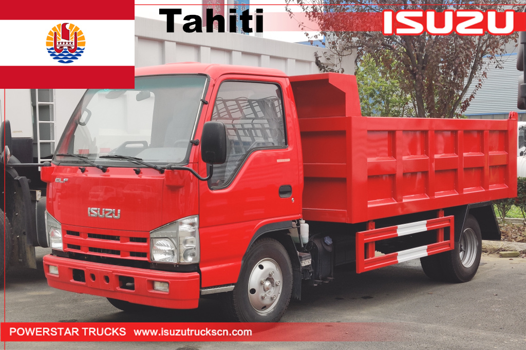 Совершенно новый Tahiti ISUZU MINI Cargo Mini Dumper Dumper Tipper Truck