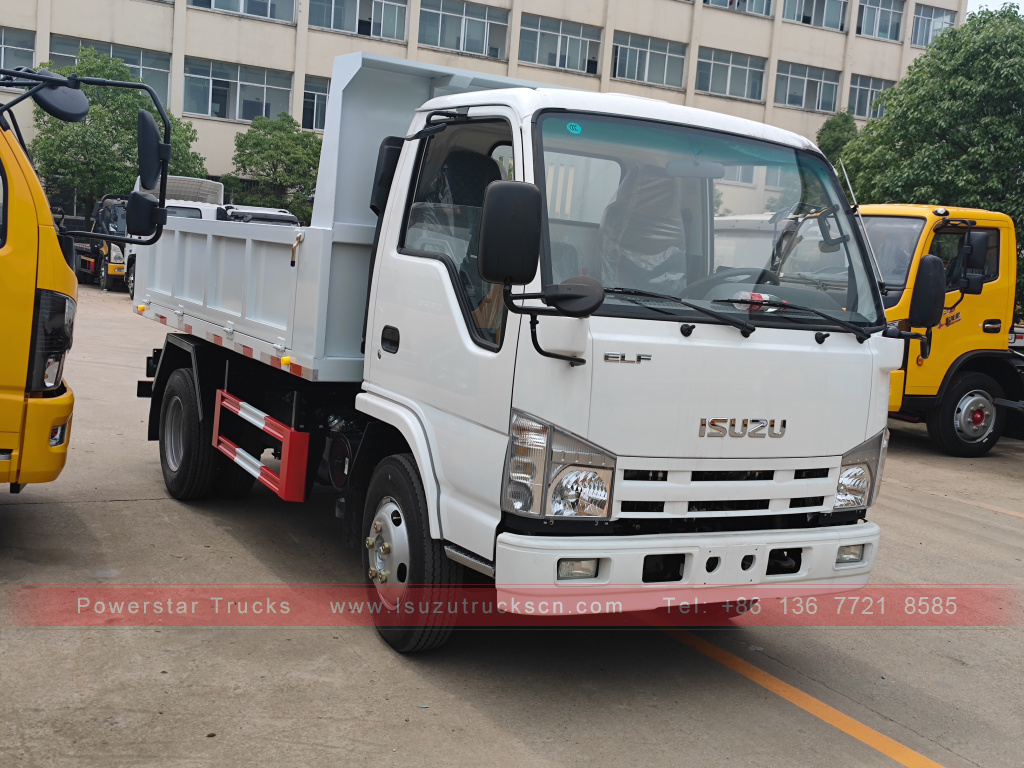 Филиппины ISUZU 4X2 6-колесный самосвал 2T 3T 5T ​​Tipper Mini Cargo Truck для продажи