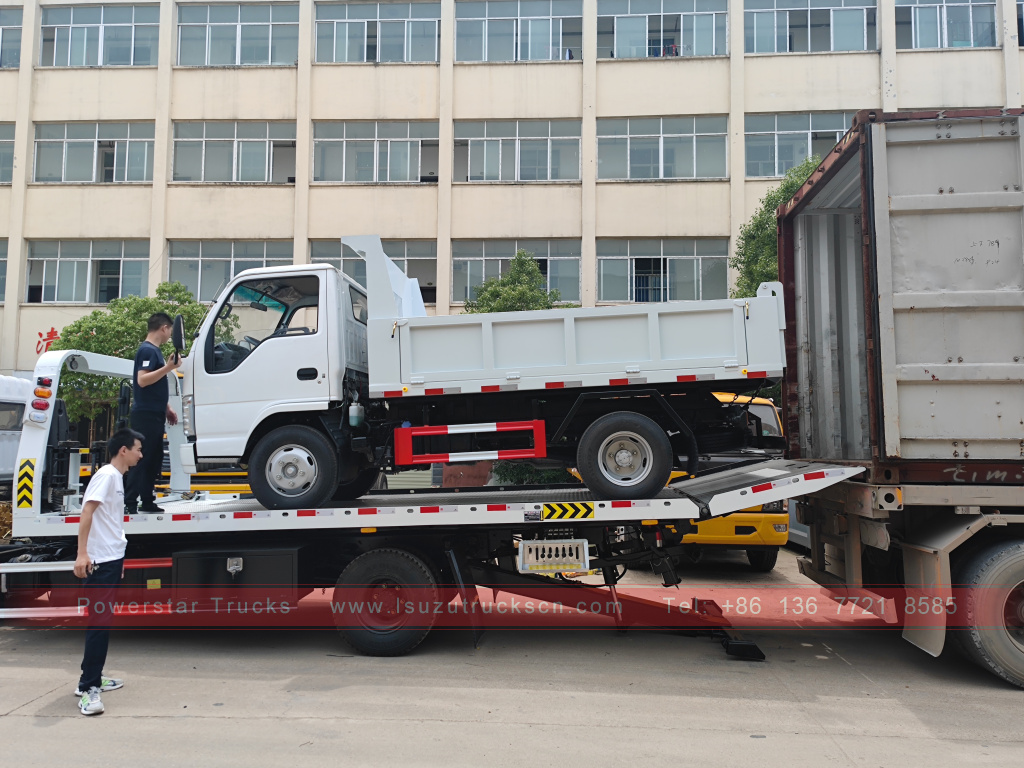 Филиппины ISUZU 4X2 6-колесный самосвал 2T 3T 5T ​​Tipper Mini Cargo Truck для продажи