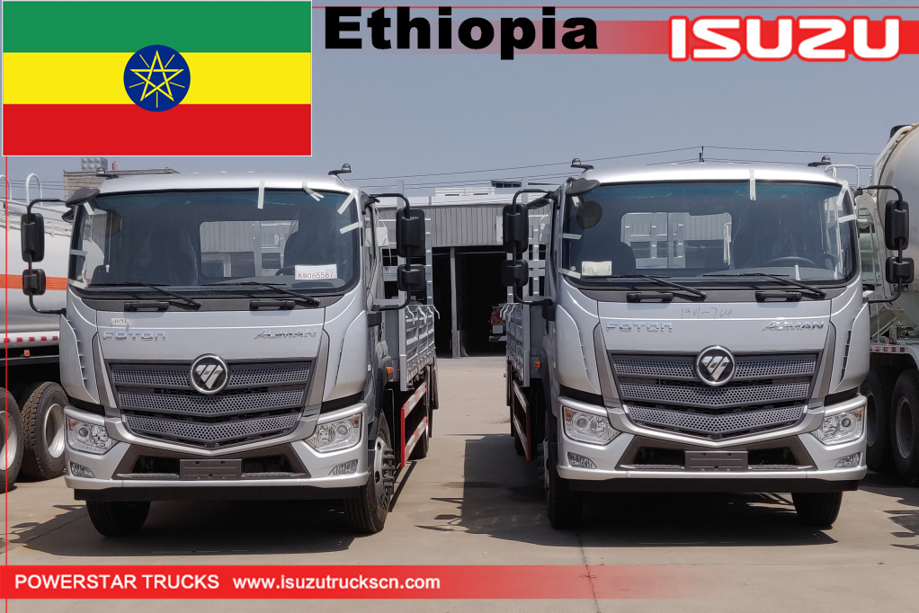 Эфиопия - 2-х футовый бортовой грузовик Foton